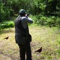 wooded-course-to-shoot-sporting-clays